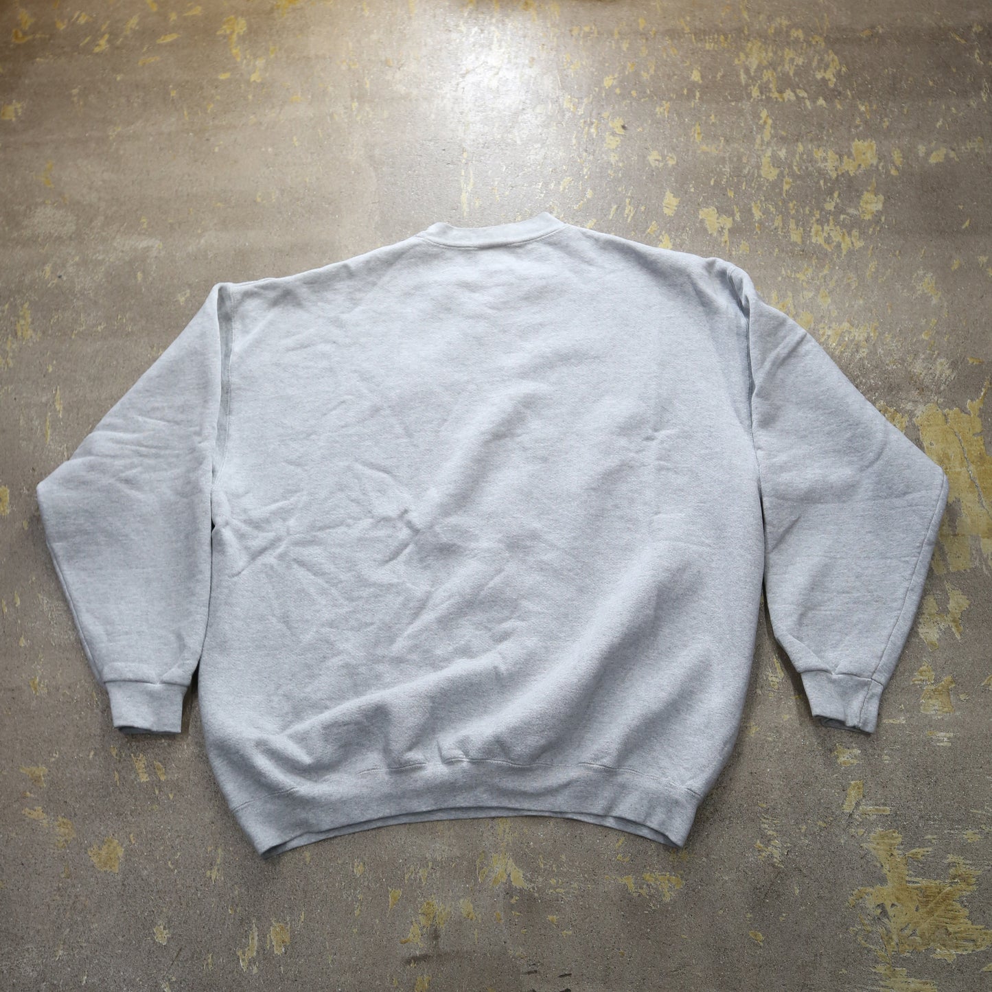 men’sスウェット Princeton HOCKEY Lee /リー ultraweight